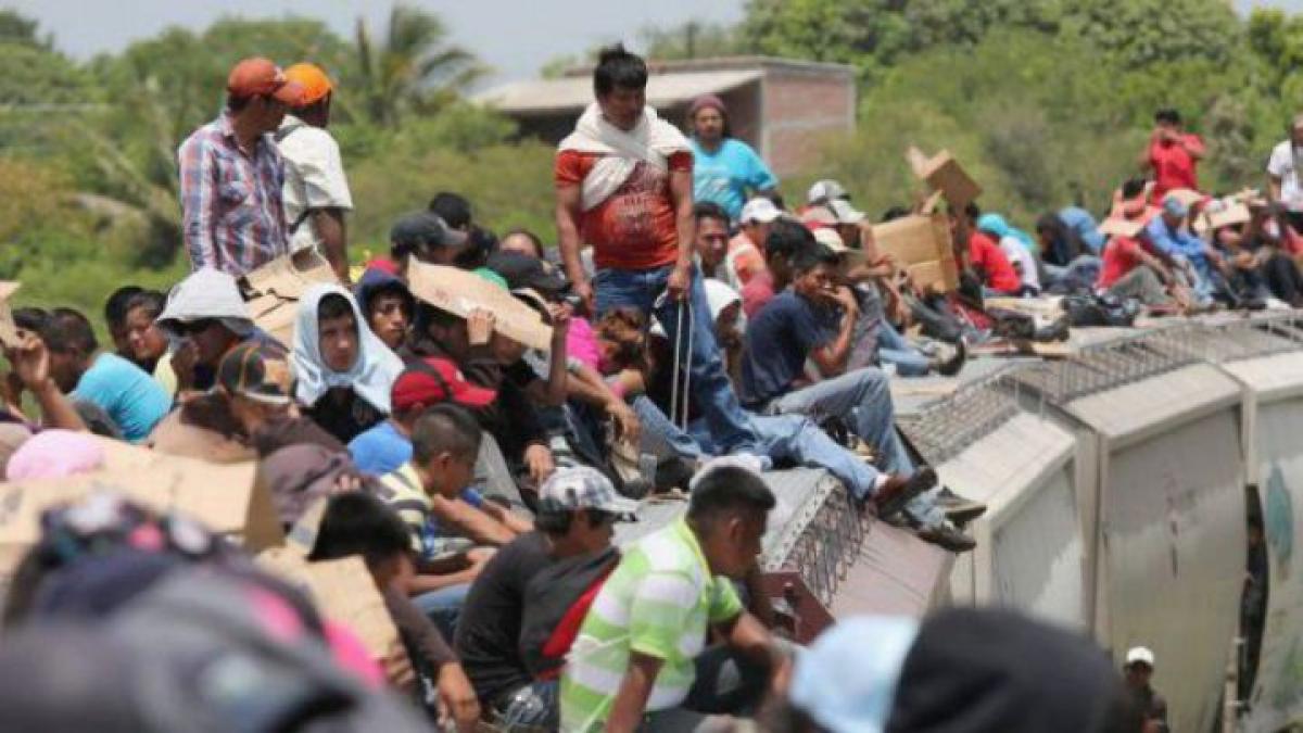 criza_imigranti_42436900