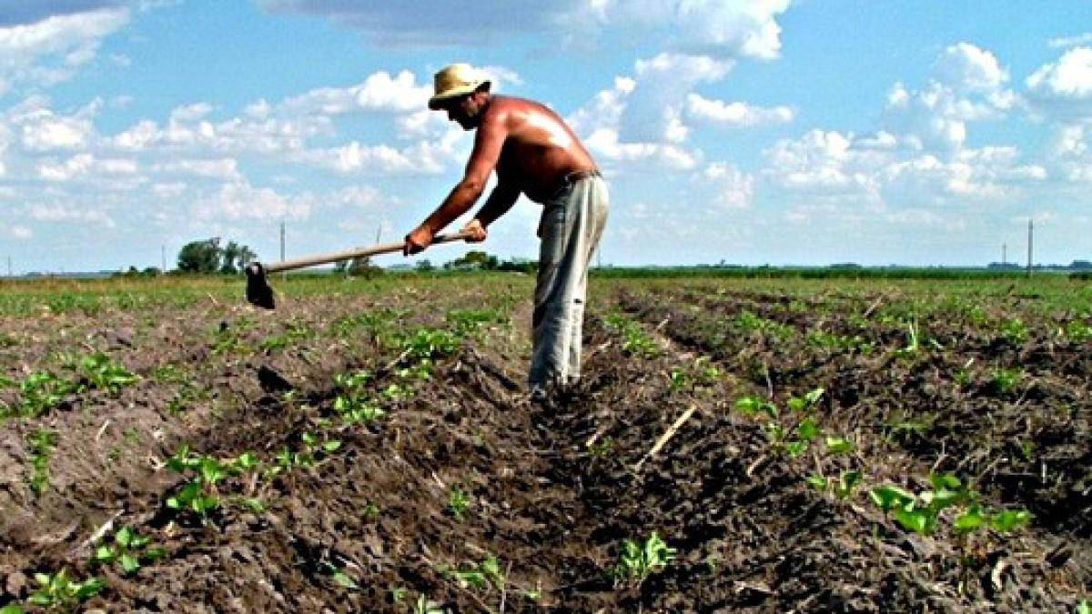 4e79f50a83118_82261400