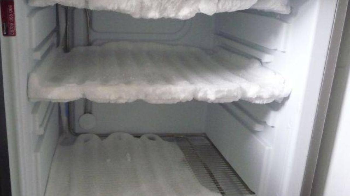 congelator_01_384c798b43_31689400