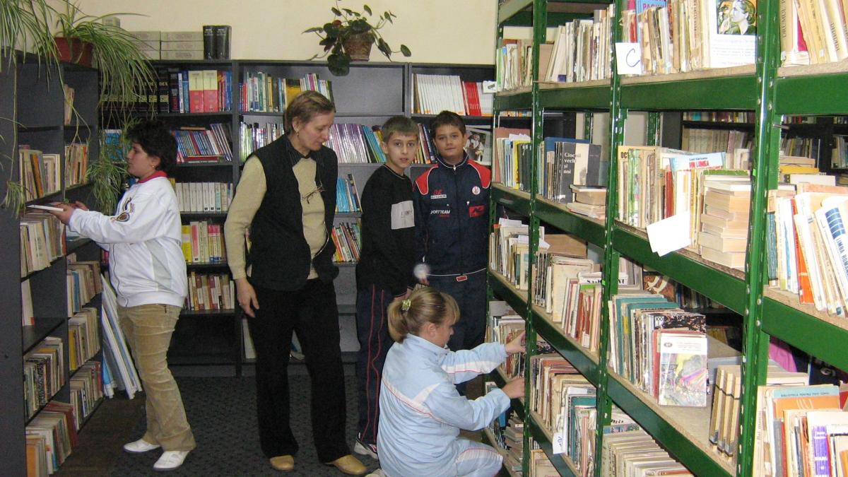 bibliotecar_44533100