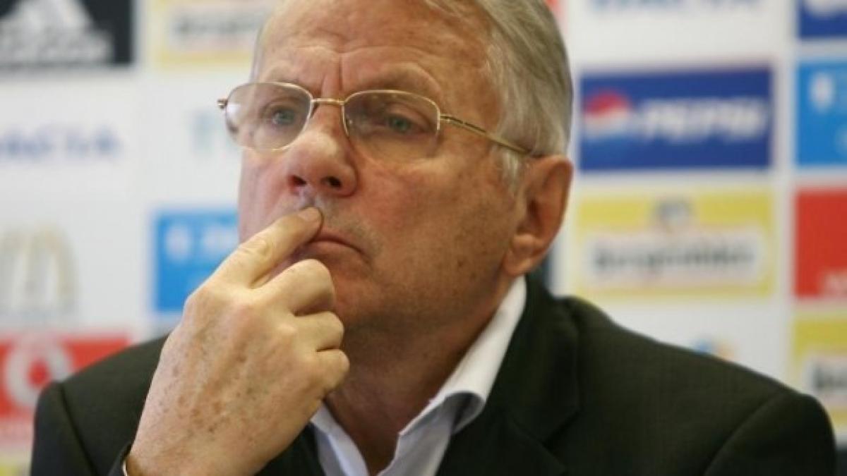 mircea_radulescu_33146600