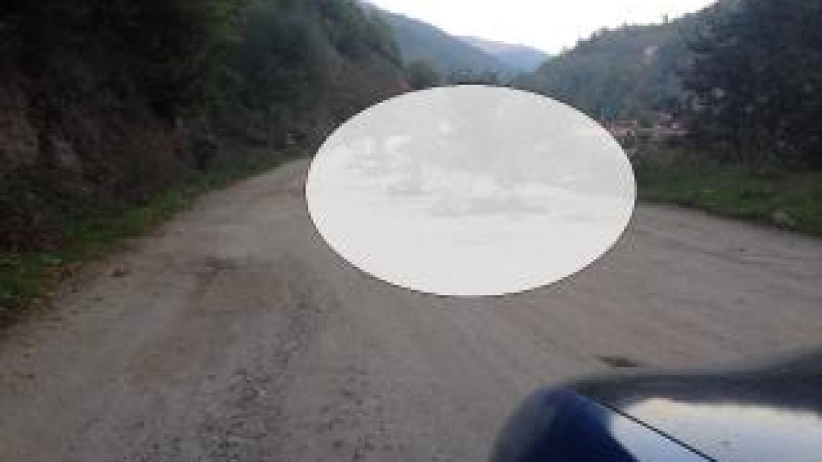 6bece3d096df12372c6c28350e1f2b68_76233900