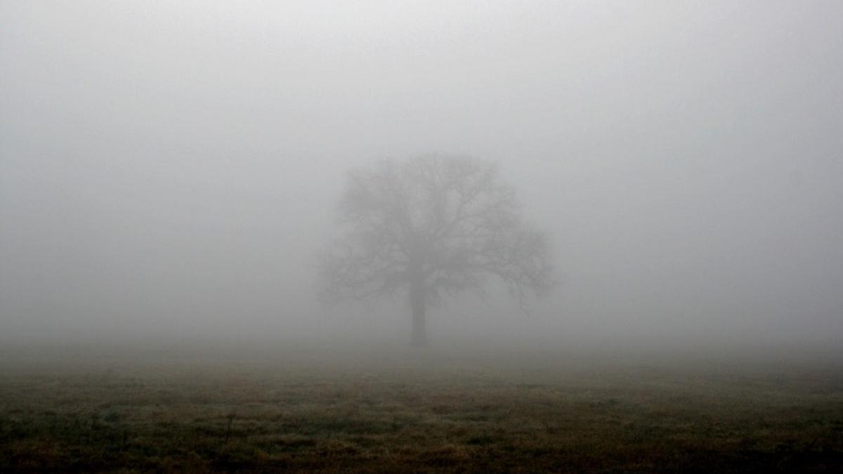 1422252878474b0436_86170300