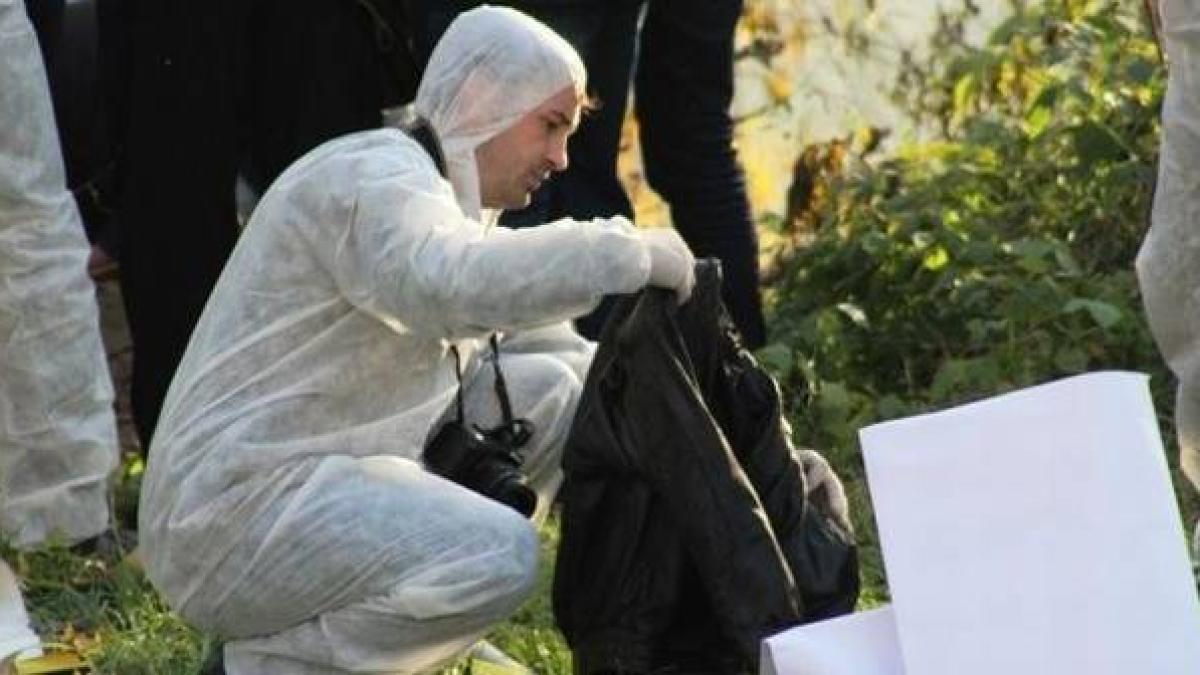 criminalisti_700x336_97069200