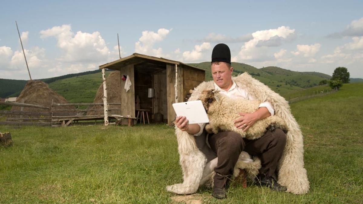 ghita_ciobanul_27920400