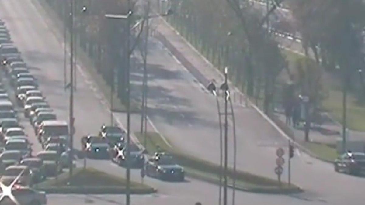 coloana_oficiala_14391600