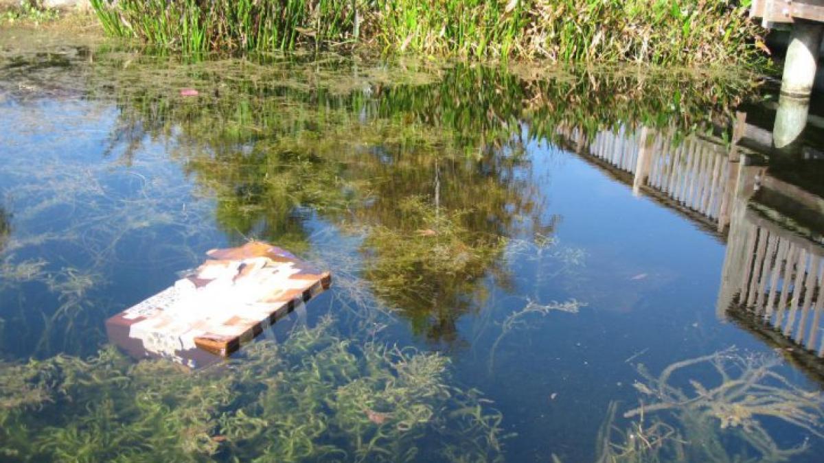 11757046_88367_full_27522600_01139700