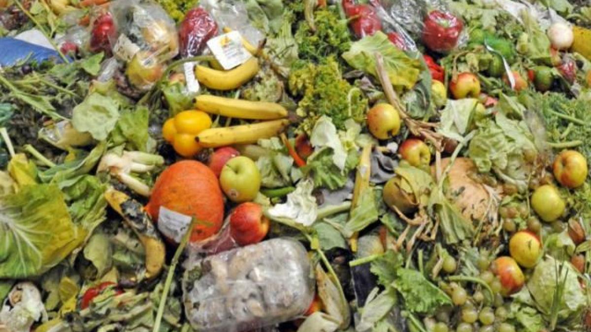 risipa_alimente_35381300