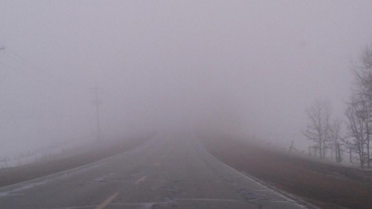 ceata_74642700_50710300