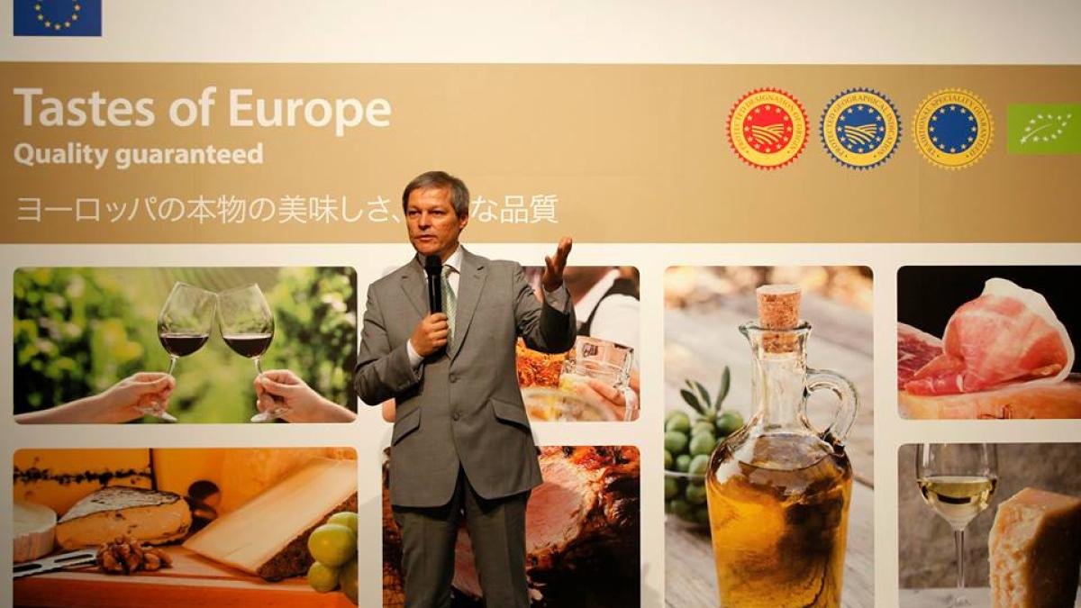 601138_599318770105412_2049274996_n_97395400