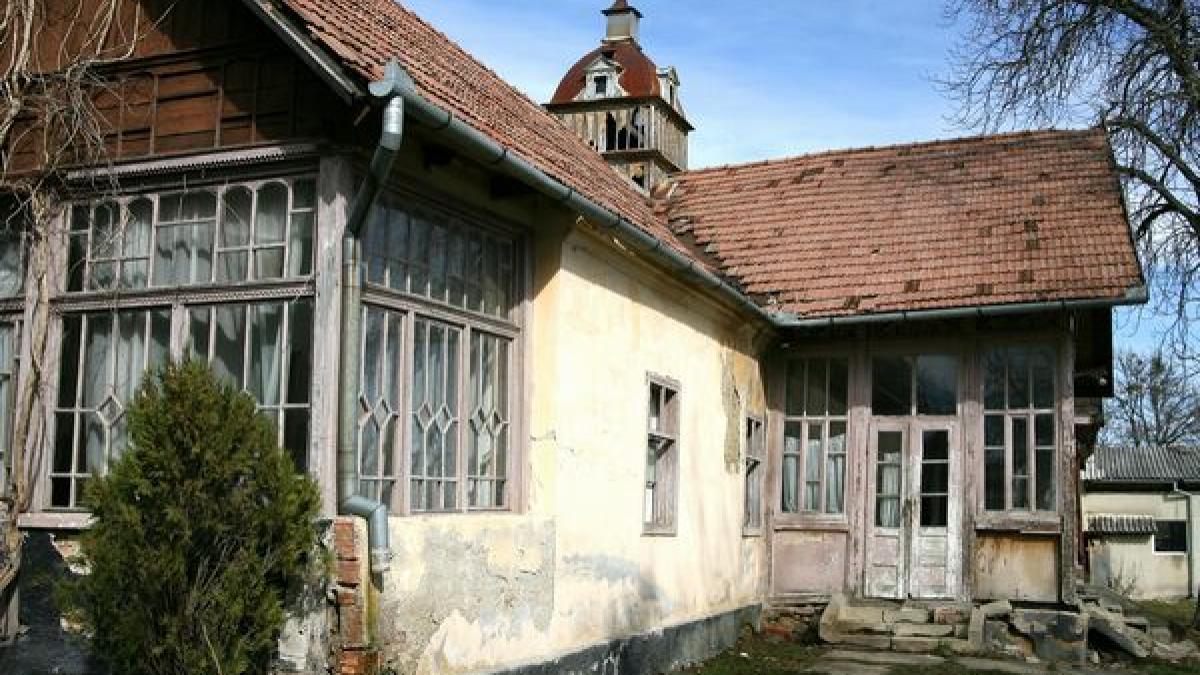 casa_iuliu_maniu_38865100