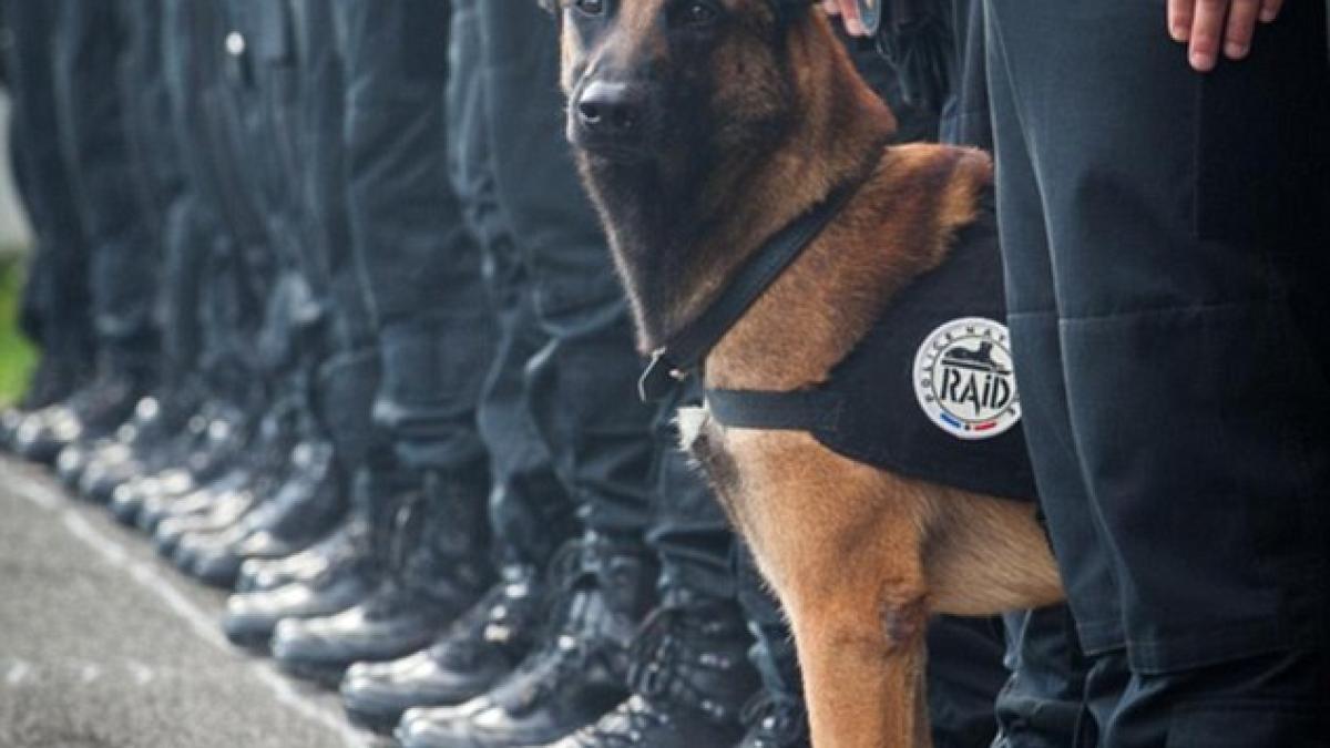 2e8ead4400000578_3323495_image_m_7_1447844444038_40594500