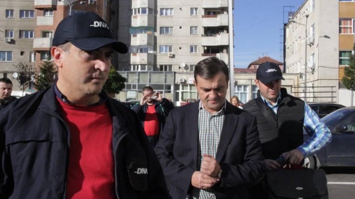 stepanescu_dna_90001500