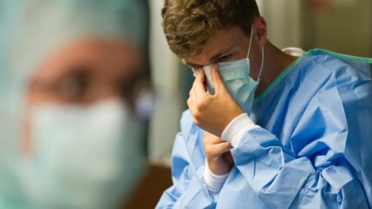 image_222567_panov9free_ufjy_222567_66379700