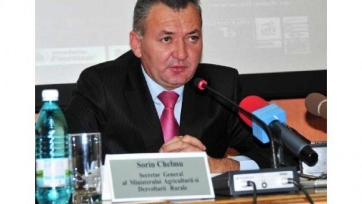 sorin_chelmu_88994100