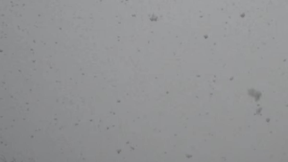 screen_shot_2015_11_25_at_14_04_37_64140100