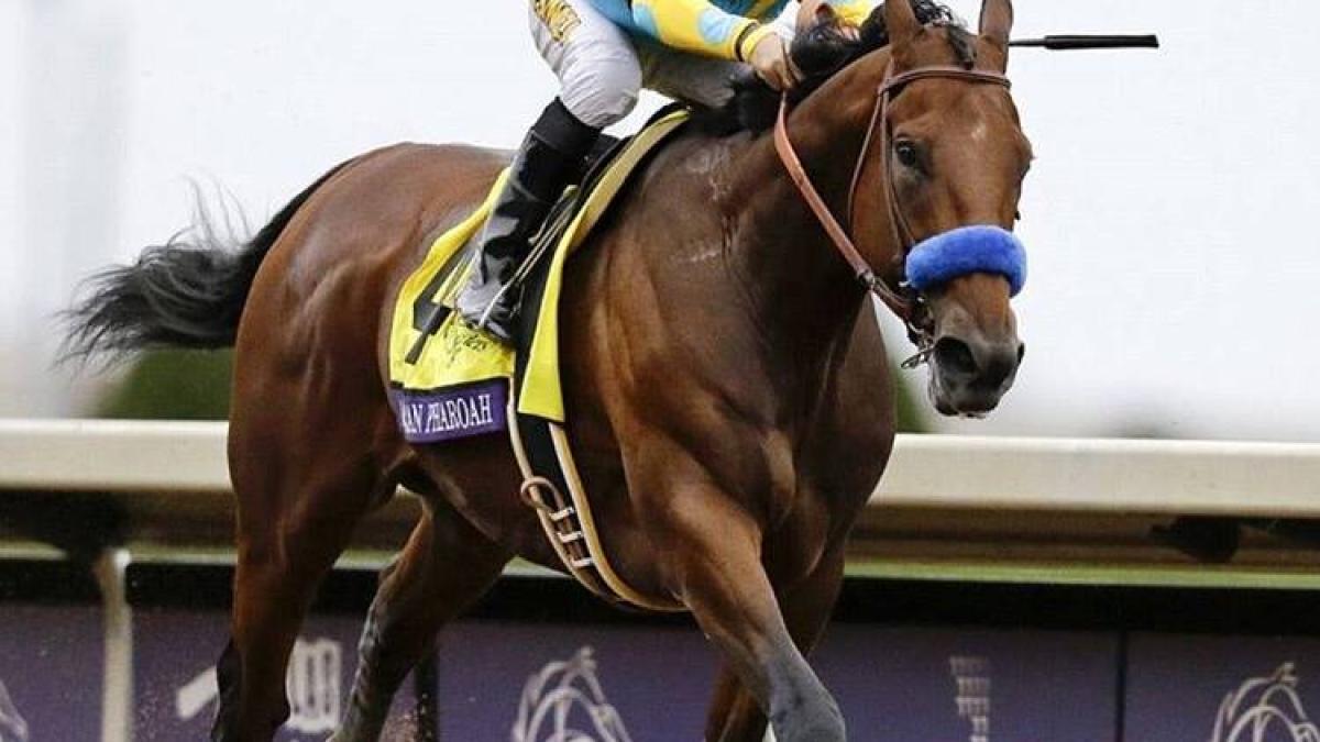 11036990_527408647434077_3982455852993430600_n_03319600