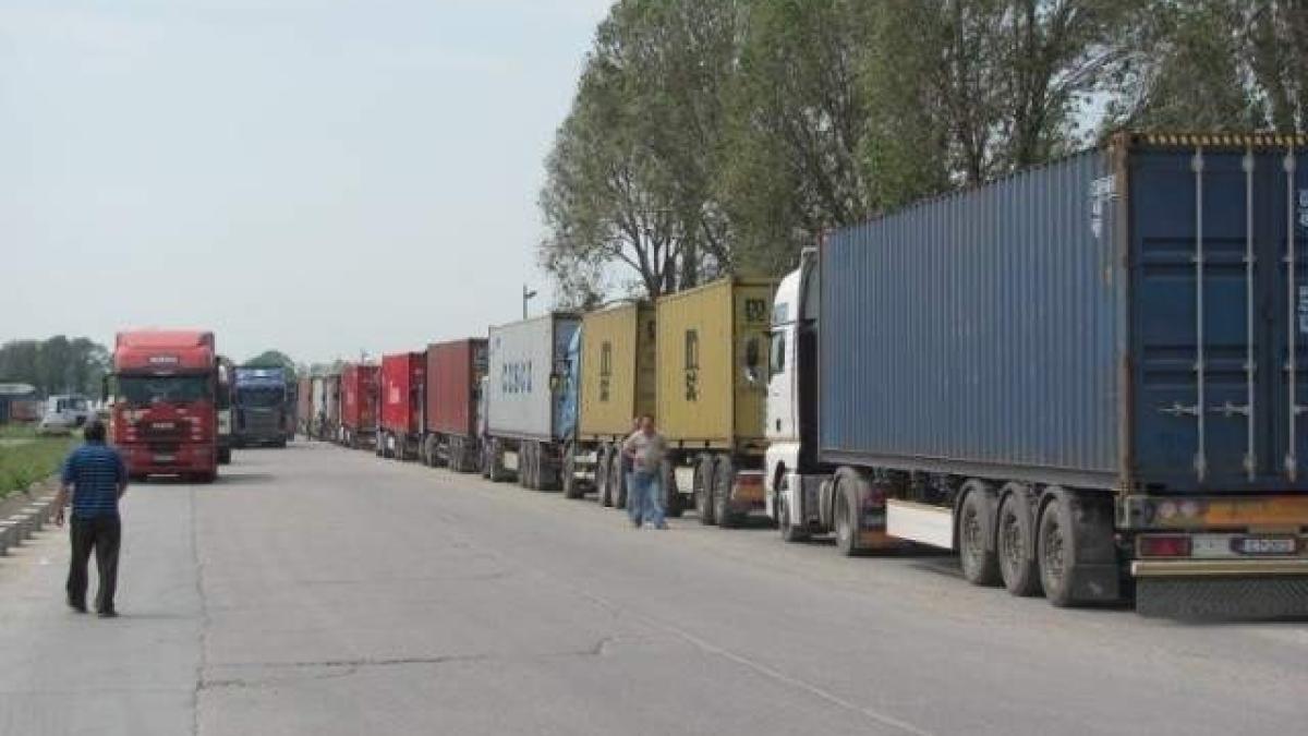 rca_transportatori_rutieri_92206500