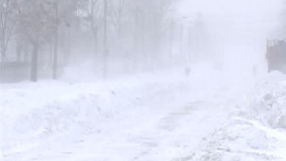 viscol_la_munte_05634300