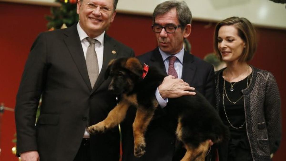 caine_cadou_16981700