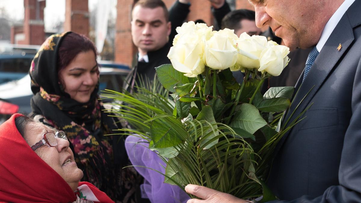 iohannis_tigani_flori_07834100