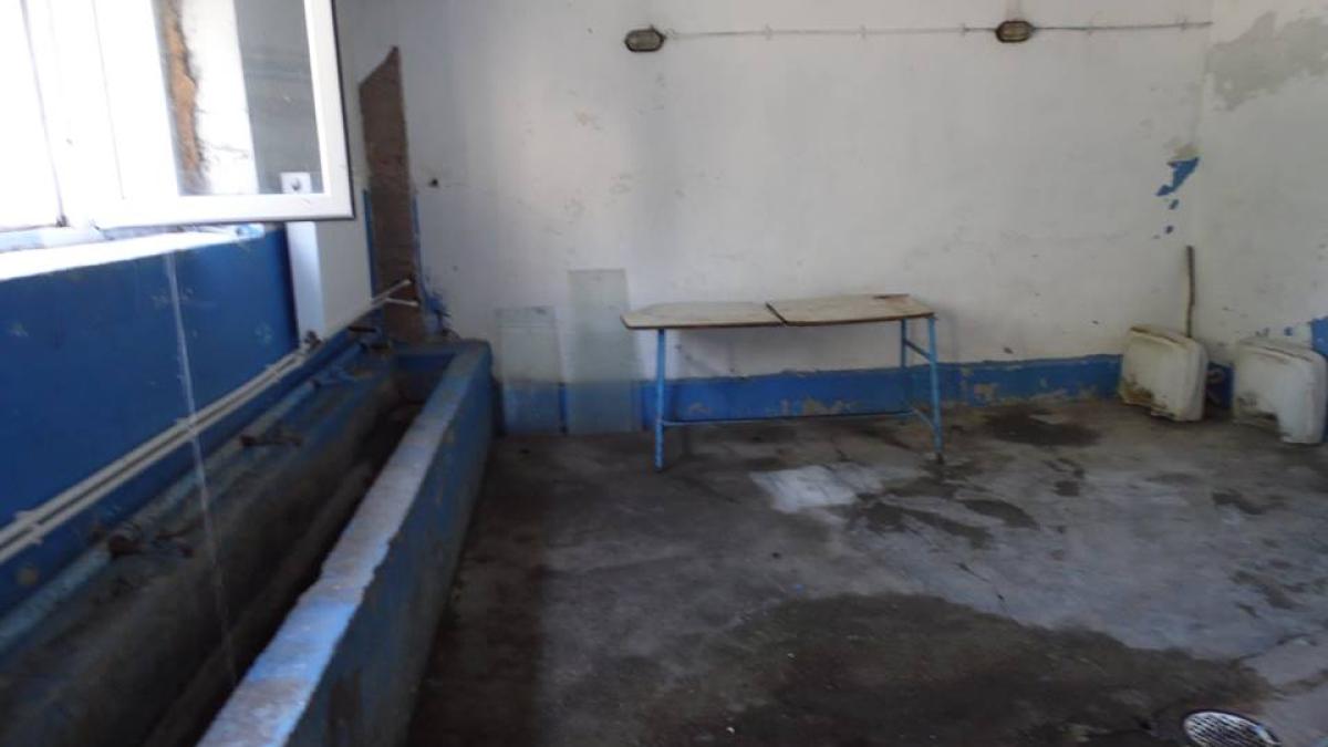 12314040_200683656936104_3502474165779721652_n_15621500