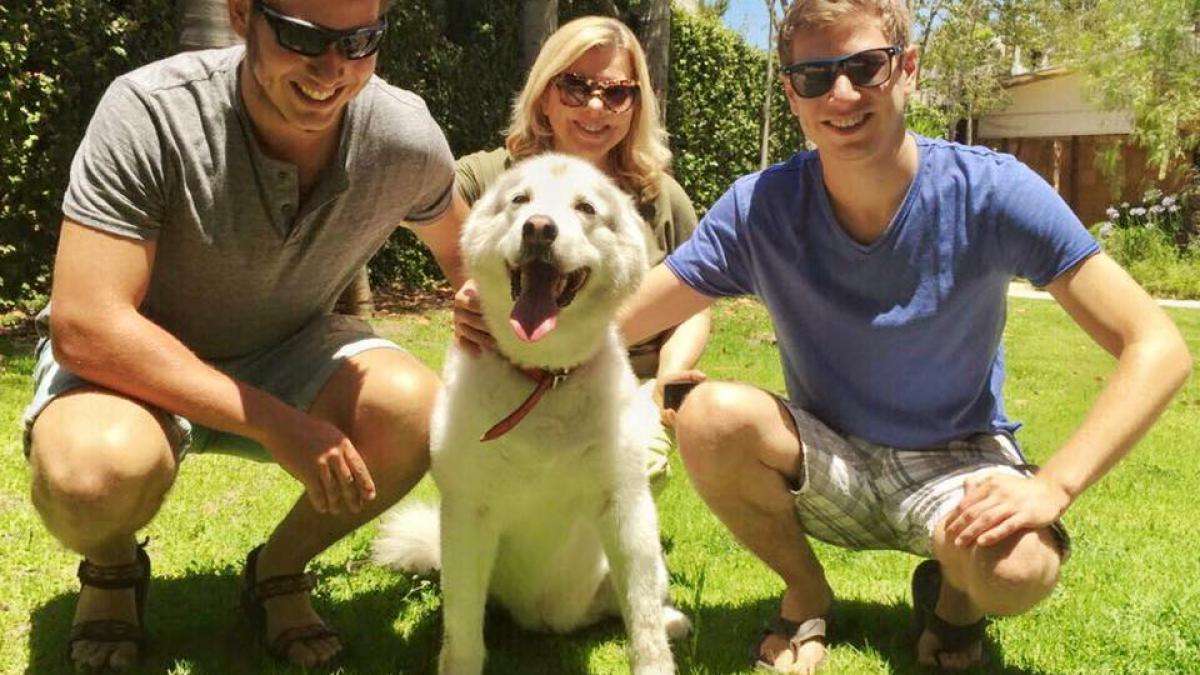 11703082_10153036506447076_8964691394436675409_n_41246100