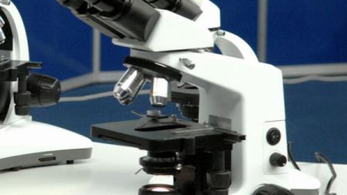 imageresize_69151000