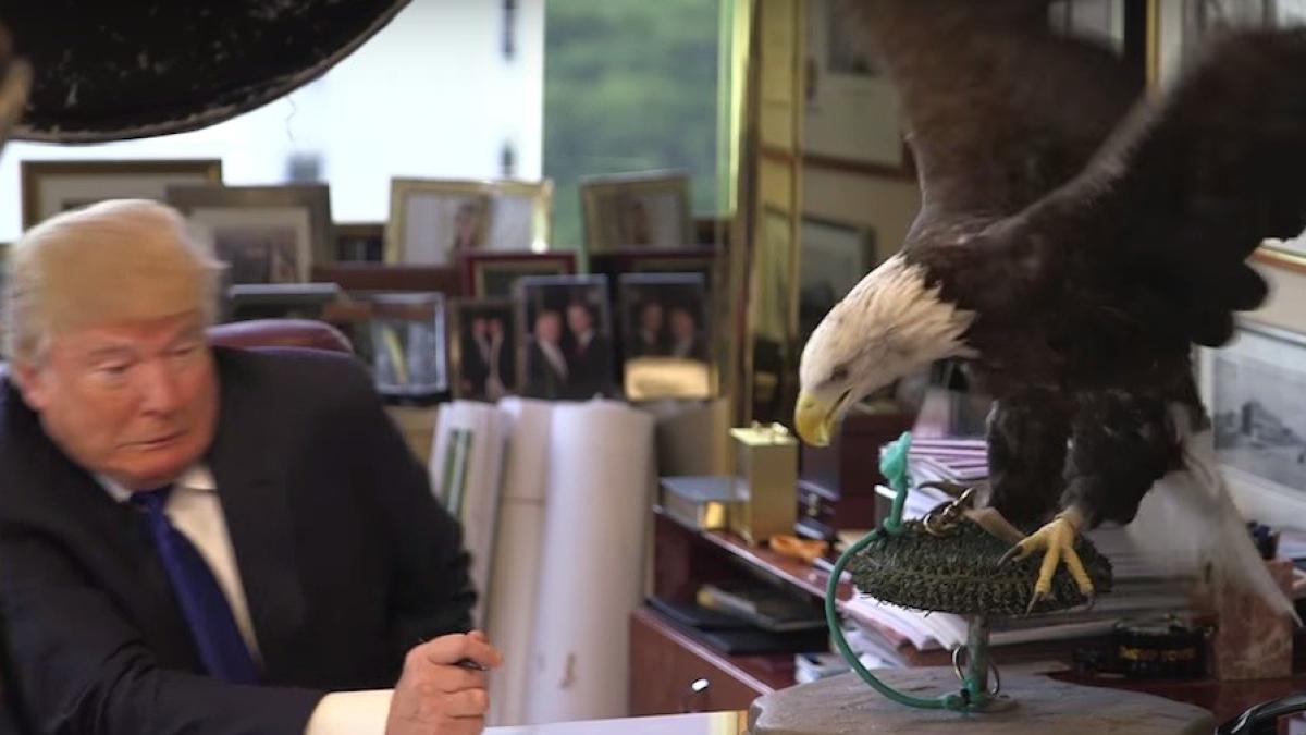 donald trump speriat de unchiul sam in timpul unei edin e foto