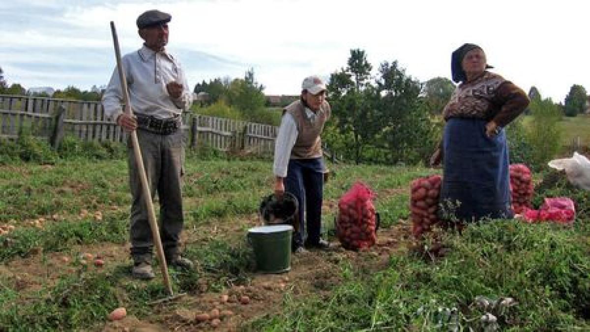 tarani_pe_camp_70067400