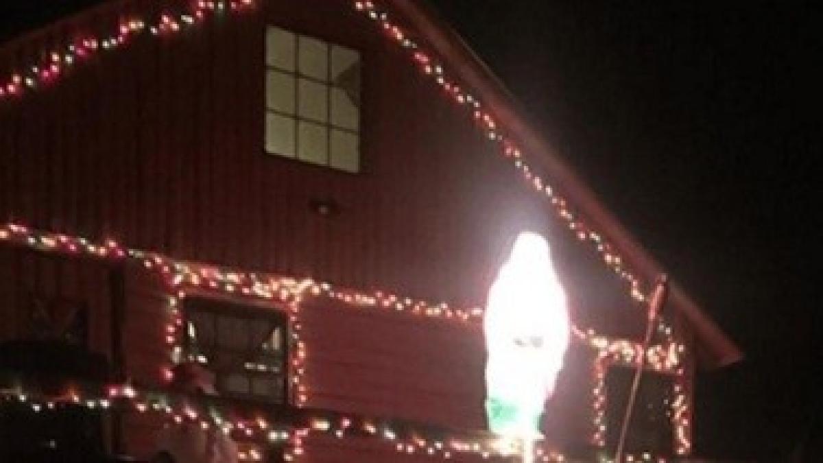 decor_craciun_inedit_92507500