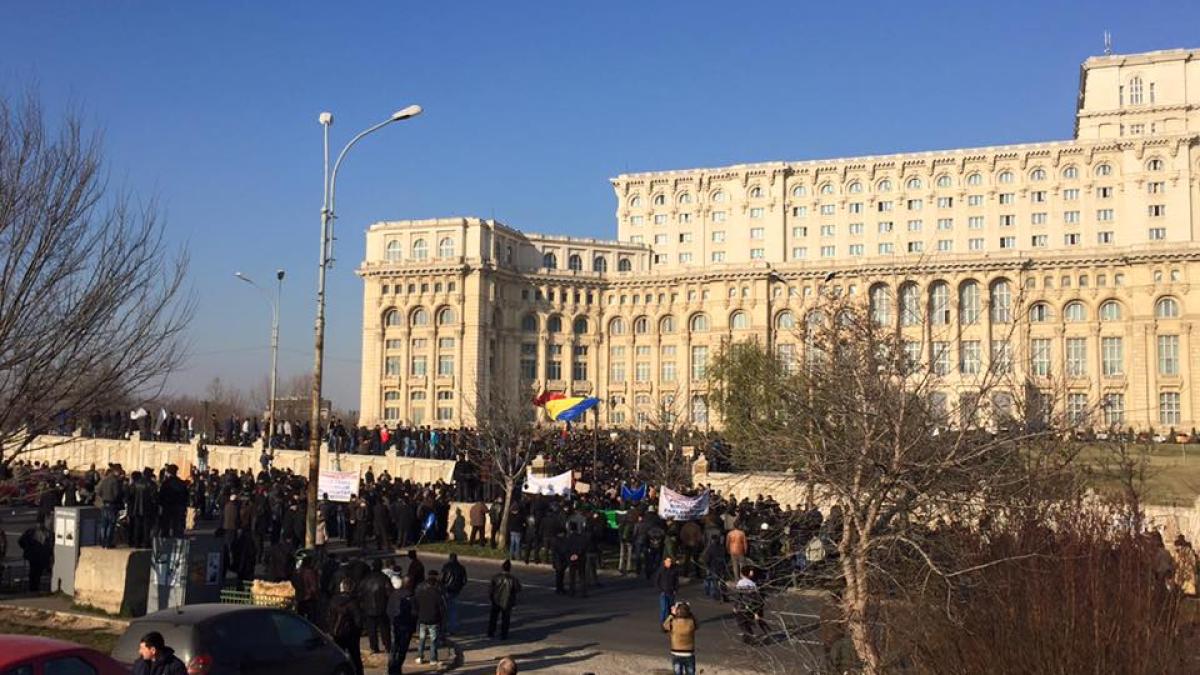 12249860_934980813216524_8454121848099850752_n_64356600