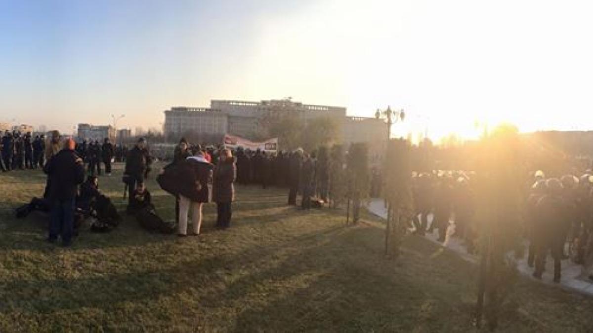 12391090_935018196546119_8323221700931563189_n_10256500