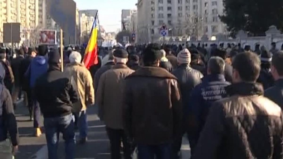 protest_ciobani_50102900_05364400