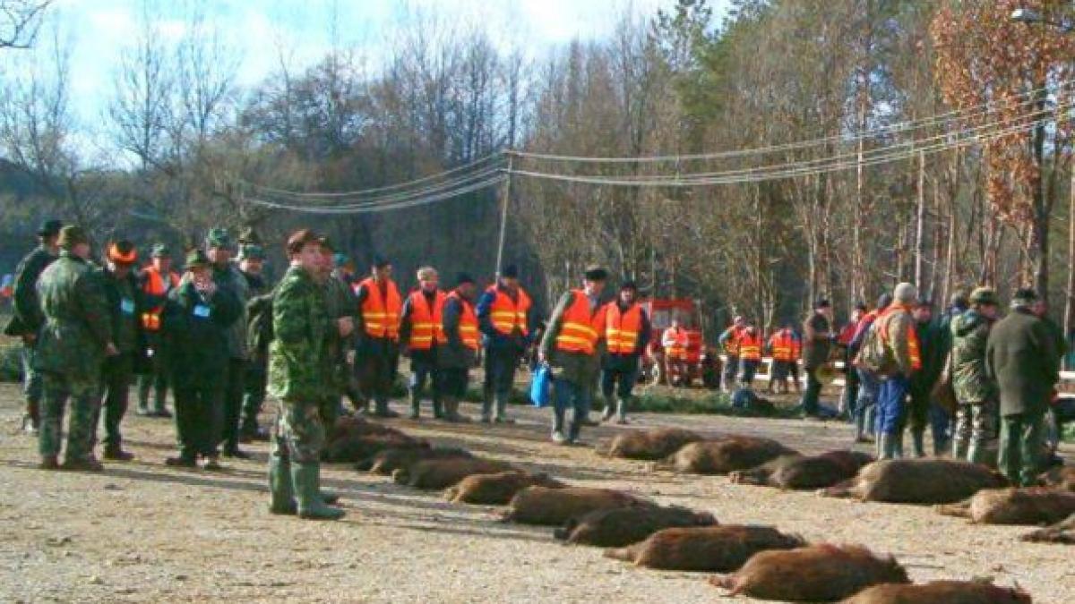 vanatoare_balc_tiriac_09122900