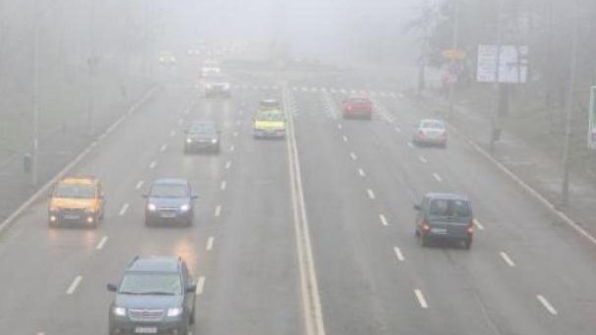 14139582836d8020c9_82979400