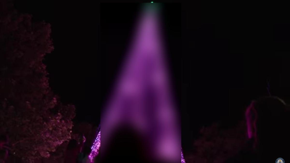 cum arata cel mai luminat pom de craciun