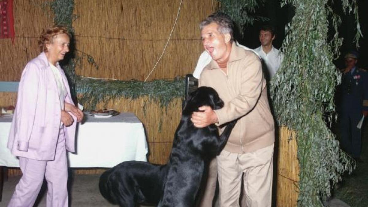 agerpres_302245_73059700