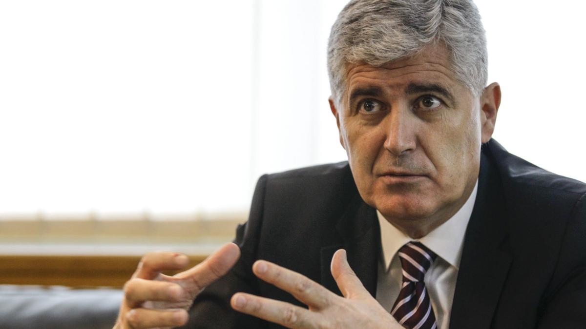 dragan_covic_72615500