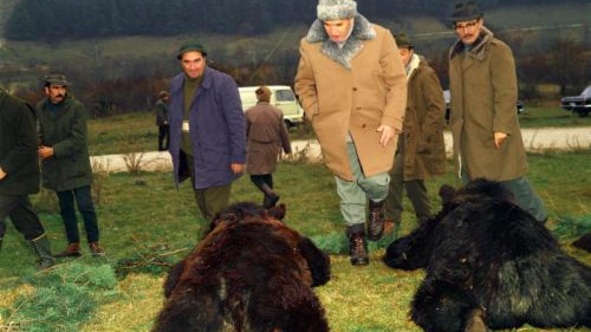 ceau escu consuma orice fara sa plateasca prin lege ce facea cu resturile