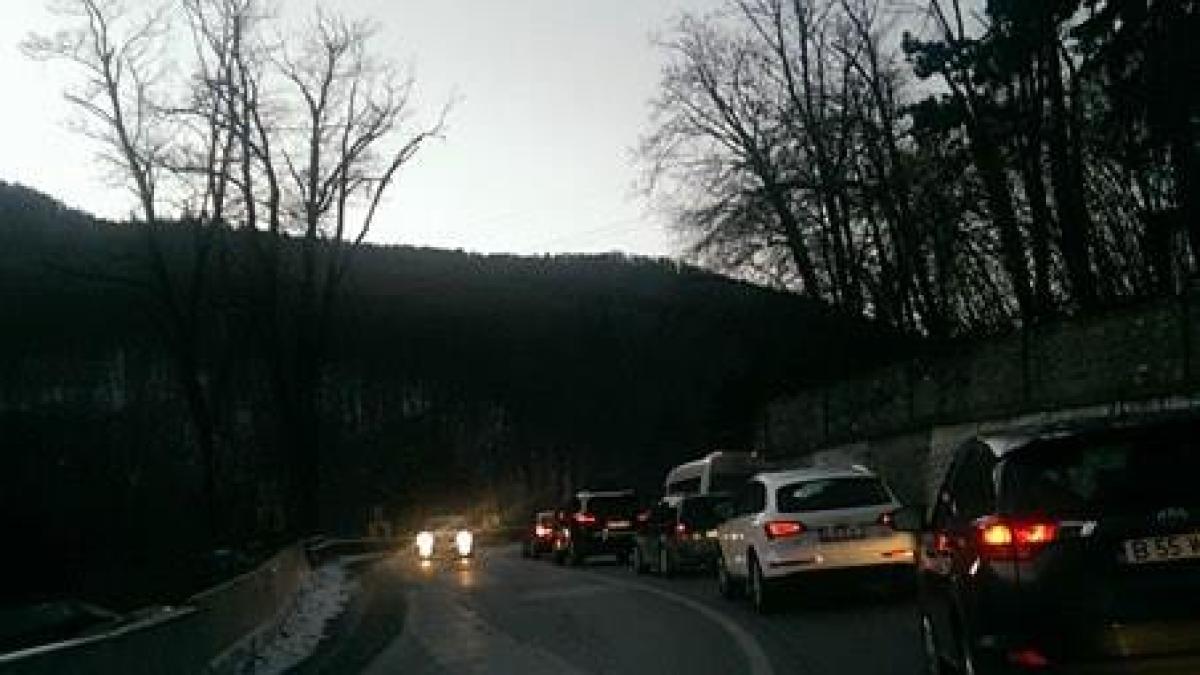 12459751_10153746260679178_1628289850_n_86278500