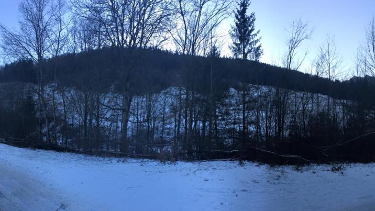 75553_799493290179369_2909812658744185180_n_41441500