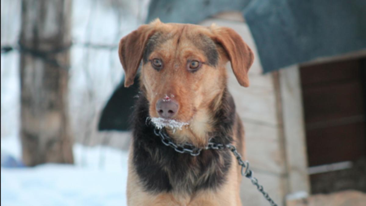 screen_shot_2016_01_02_at_4_01_51_pm_27534200