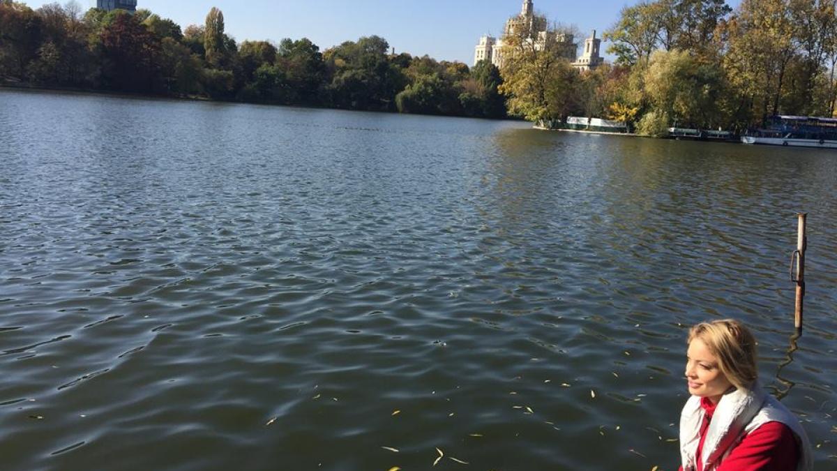 12063409_904026009688877_8140346685445772257_n_85858100