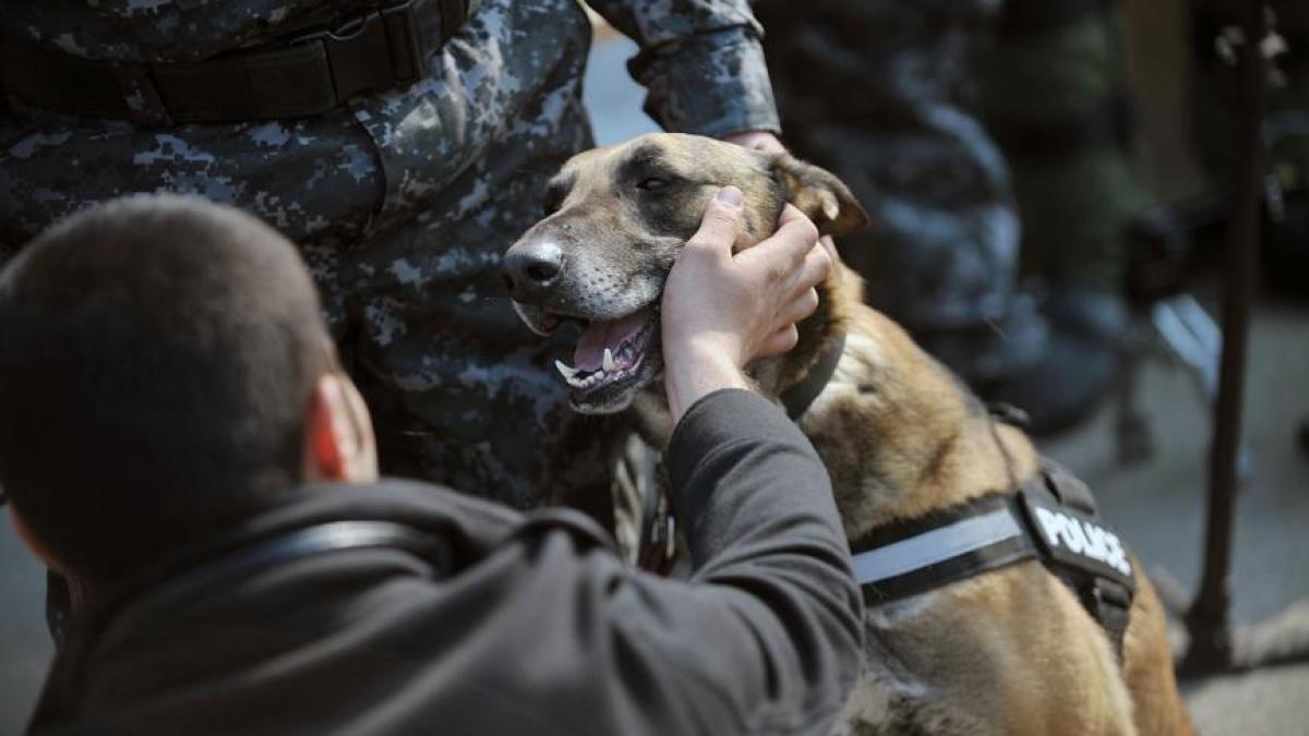 agerpres_6016437_08941400