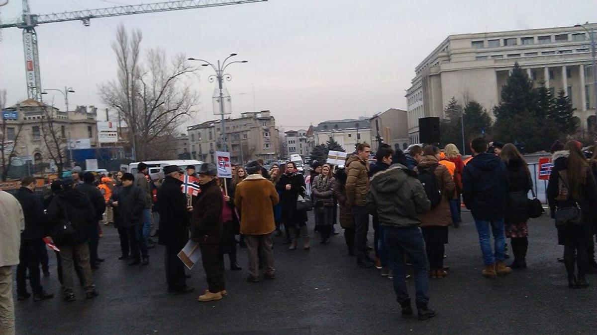 946768_1062807013763076_1717808268673231883_n_44399000