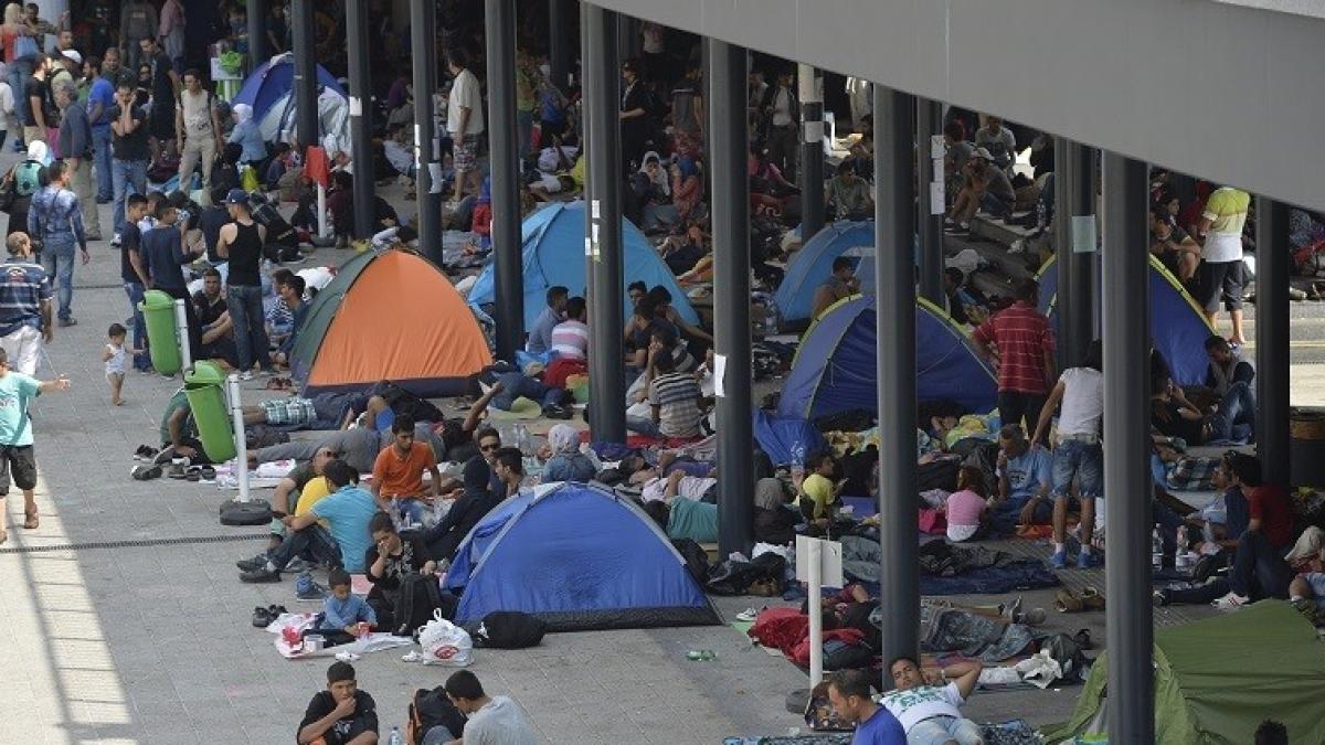 188720_articol_46363000