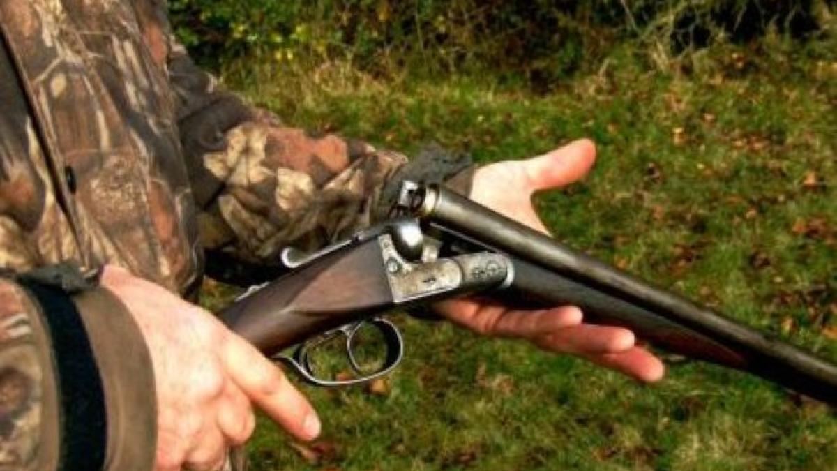 pusca_de_vanatoare_19616300