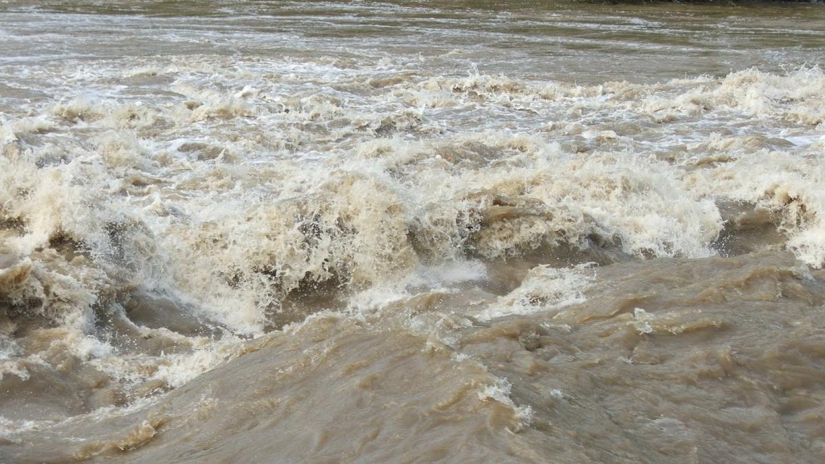 inundatii_observator_56491200