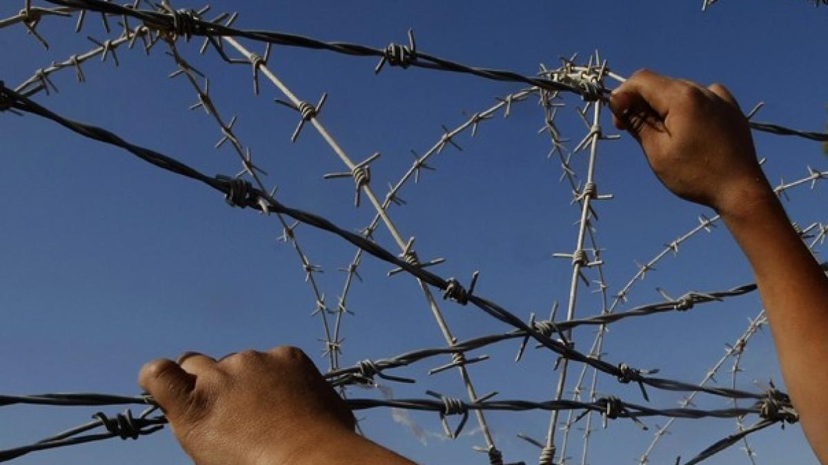 gardul_de_sarma_e_soluprc-c8prc-9bia_____22735200